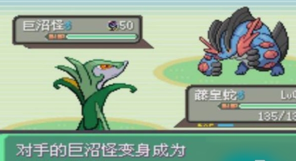 口袋妖怪究极绿宝石5.5攻略图文大全-口袋妖怪究极绿宝石5.5金手指代码